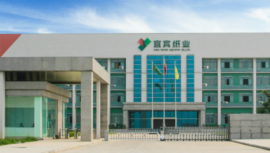 2o23年澳门正版精准资料,王楚钦疑连夜染回黑发,详细释义解释落实_手游版V1.88